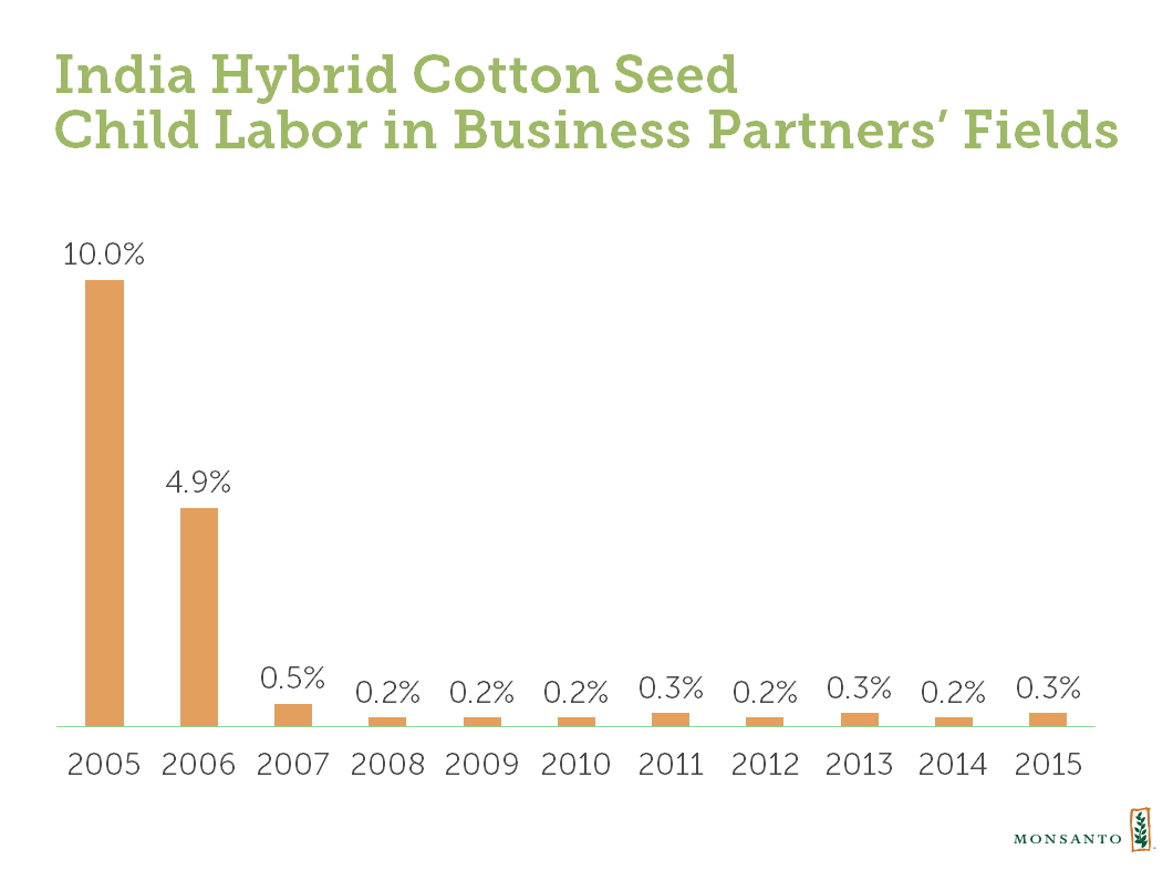 child-labor-in-partner-fields-cotton